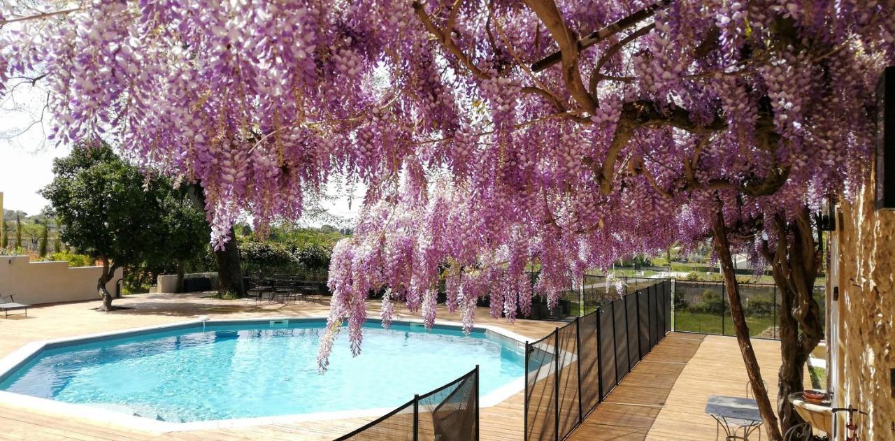 Chateau Montplaisir Charming B&B In Provence Valreas Luaran gambar
